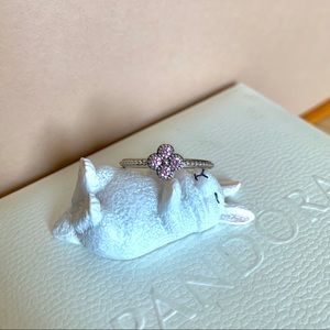 Pandora Ring
